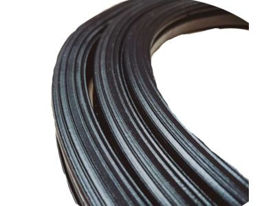 Mopar 55369015AD Weatherstrip Liftgate Glass