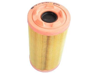 Ram Air Filter - 52022424AA