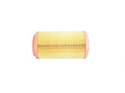 Ram Air Filter - 52022424AA