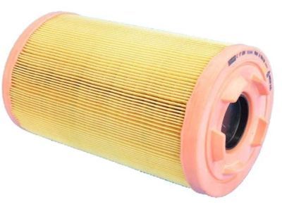 Ram Air Filter - 52022424AA