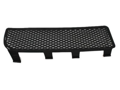 Dodge Ram 1500 Grille - YX64XXXAB