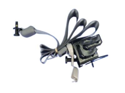 Dodge Caravan Seat Belt - 1CK381D5AA