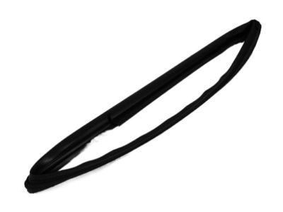 Jeep 55399191AG WEATHERSTRIP Front Door Glass Run