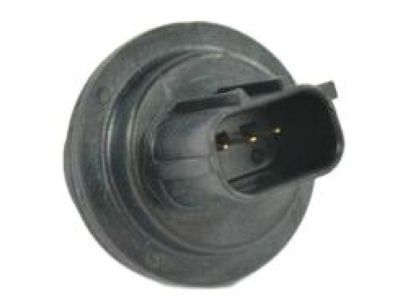 Dodge 68186725AA SOCKET Park And Turn Signal