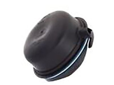 Dodge MN142066 Socket Cover