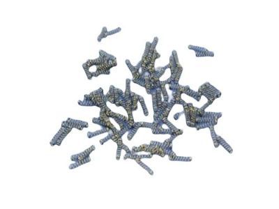 Jeep 4746873 SPRING Lock Cylinder Tumbler