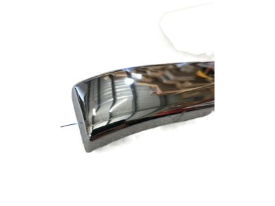 Ram 5ZH28SZ0AA Body Side Molding