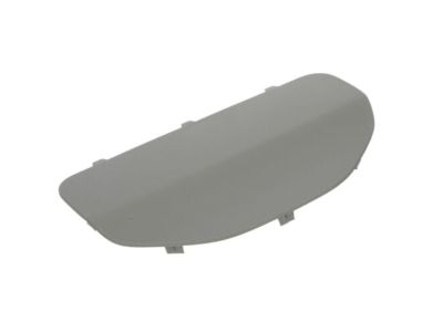 Mopar 1VV31BD3AA Access Cover, Gray, Rear