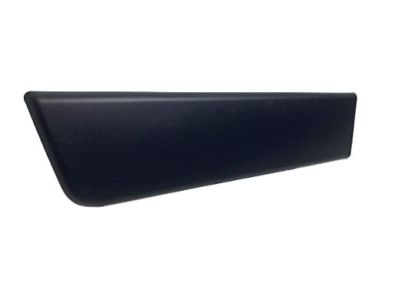 Ram 1ZT29JXWAB MOLDING Door Outside