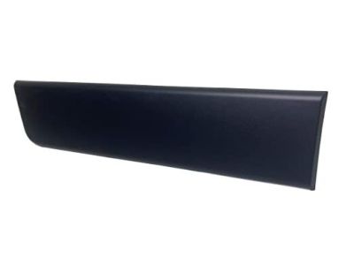 Ram 1ZT29JXWAB MOLDING Door Outside