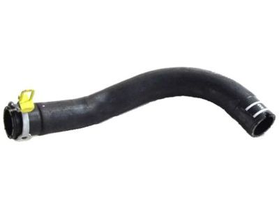 Jeep 68191620AB HOSE AND CLAMP Radiator Inlet