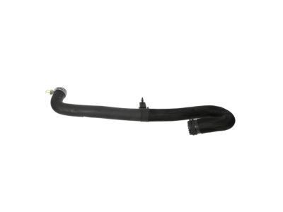 Dodge Durango Radiator Hose - 55038026AJ