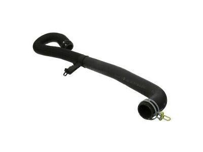 Dodge Durango Radiator Hose - 55038026AJ