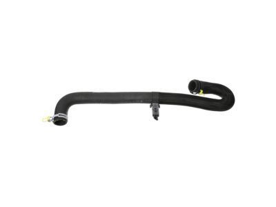 Dodge Durango Radiator Hose - 55038026AJ