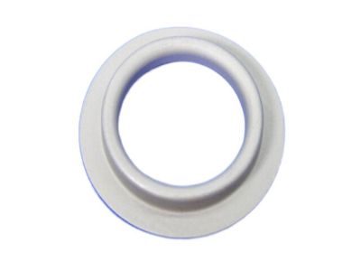 Dodge 68055318AB SHIELD Dust