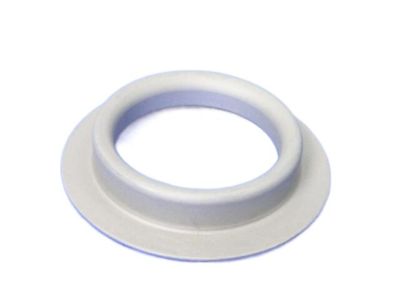 Dodge 68055318AB SHIELD Dust