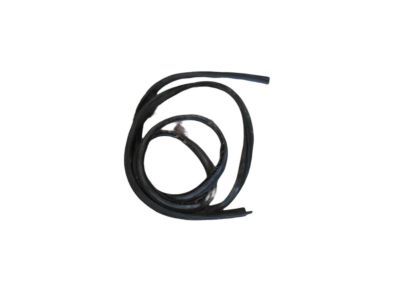 Chrysler Voyager Weather Strip - 4717327
