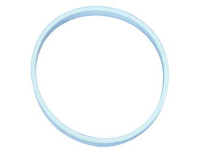 Chrysler Throttle Body Gasket - 4591873AA
