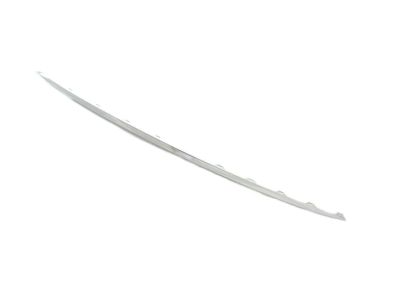 Mopar 5SD09SZ0AA Applique Fascia