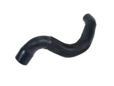 Jeep 52006301 Lower Hose