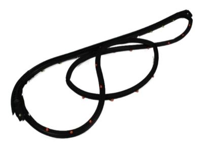 Dodge Caliber Door Seal - 5074263AF
