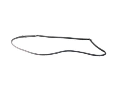Mopar 68188724AC Weatherstrip Front Door Opening