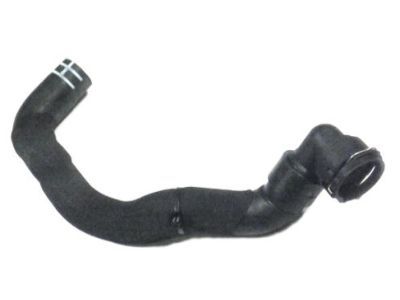 Jeep 68102133AD Lower Hose