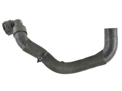Jeep 68102133AD Lower Hose