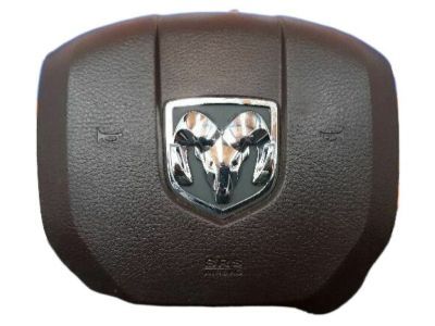 Ram Air Bag - 1EF19LU7AJ