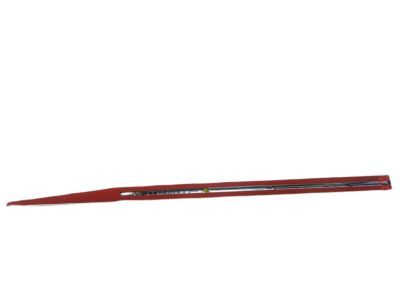 Ram Door Moldings - 68247504AD