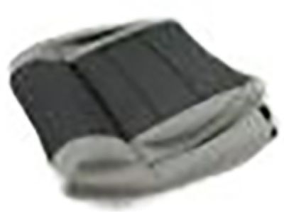 Dodge Charger Seat Cover - 1XC55DX9AA