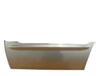 Jeep 5015773AA CLADDING Rear Door