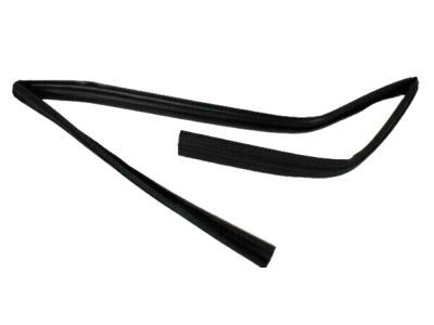 Jeep 55399190AH Glass Run