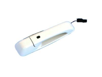 Ram 1UJ86GW7AI HANDLE Exterior Door