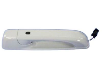 Ram 1UJ86GW7AI HANDLE Exterior Door