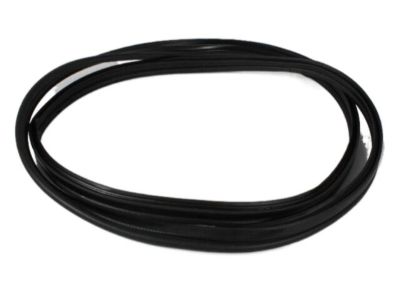 Chrysler 4575226AB Weatherstrip