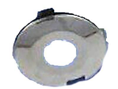 Jeep 5016731AA CAP Door Lock Cylinder