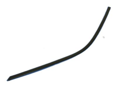 Dodge 57010504AE MOLDING Front Door