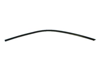 Dodge 57010504AE MOLDING Front Door