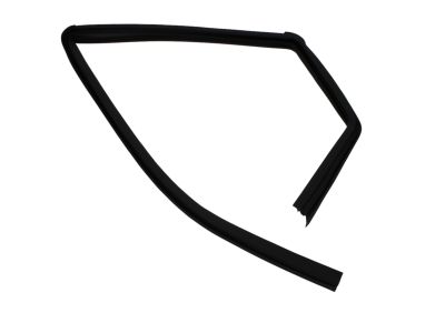 Mopar 55399170AG Weatherstrip Rear Door Glass Running