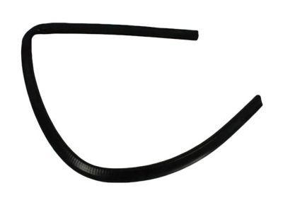 Dodge 55276165AF SEAL Rear Door