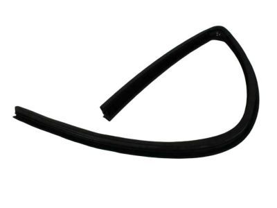 Dodge 55276165AF SEAL Rear Door