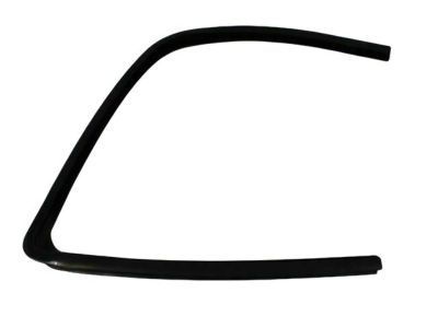 Dodge 55276165AF SEAL Rear Door