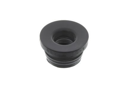 Dodge 68003259AA Reservoir Grommet