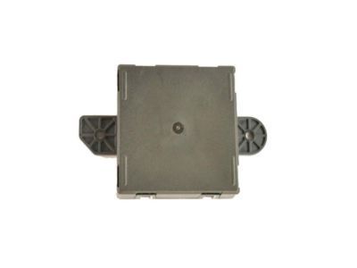 Ram 68233218AC MODULE Door
