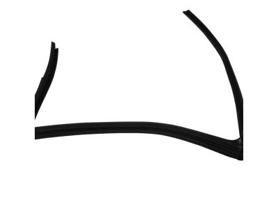 Mopar 5074018AH Weatherstrip Rear Door Flush Glass 5074018AH Mopar Weatherstrip Rear Door Flush Glass Product Photo 1 of 3