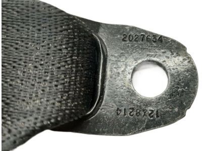 Dodge 5UZ21DX9AC Outer Belt Assembly