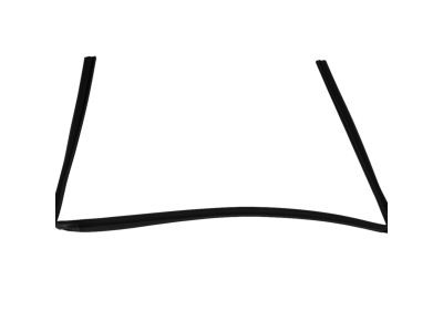 Mopar 68040038AB Running Front Door Glass