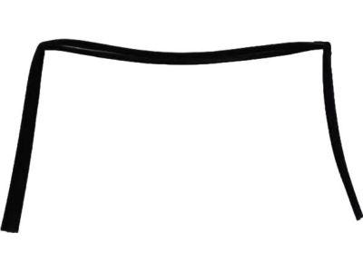 Mopar 68040038AB Running Front Door Glass