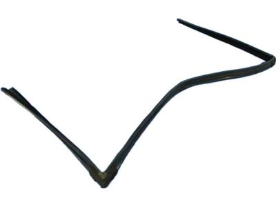 Mopar 68040038AB Running Front Door Glass